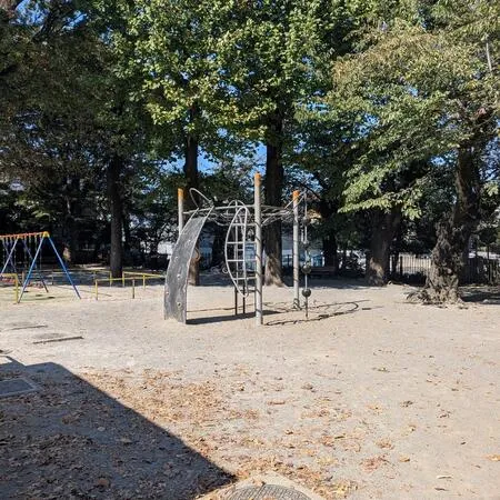 日曜日のお昼にきました。