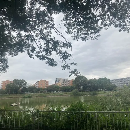 【こどもが集い、わいわい遊べる公園】