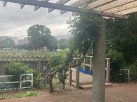 【こどもが集い、わいわい遊べる公園】