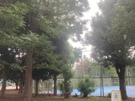 【こどもが集い、わいわい遊べる公園】
