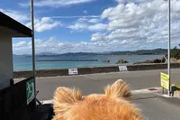 愛犬とお散歩で訪問。波が穏やかでと...