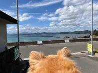 愛犬とお散歩で訪問。波が穏やかでと...