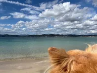 愛犬とお散歩で訪問。波が穏やかでと...