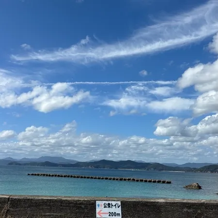 愛犬とお散歩で訪問。波が穏やかでと...