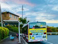 今年もコスモス観に来ました。