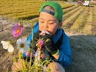 今年もコスモス観に来ました。