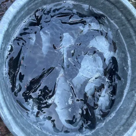 初めての魚釣りを体験しました。