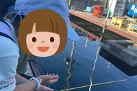 初めての魚釣りを体験しました。