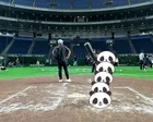 TOKYO DOME PARK D...