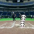TOKYO DOME PARK D...