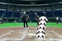 TOKYO DOME PARK D...