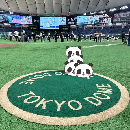 TOKYO DOME PARK D...