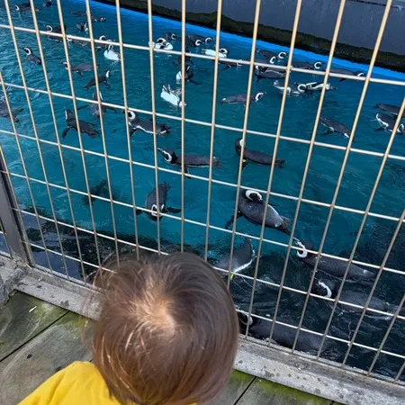 比較的コンパクトな水族館でした。
