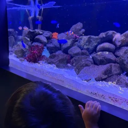 比較的コンパクトな水族館でした。