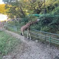 無料開放日かつ日曜日だったこともあ...