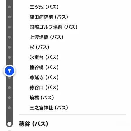 今年もコスモス観に来ました。