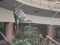 私（母親）も子供も初めてでした。こ...
