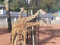 私（母親）も子供も初めてでした。こ...