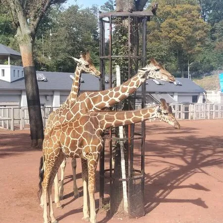 私（母親）も子供も初めてでした。こ...