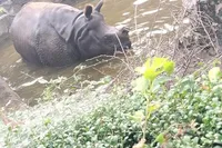 私（母親）も子供も初めてでした。こ...