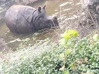 私（母親）も子供も初めてでした。こ...