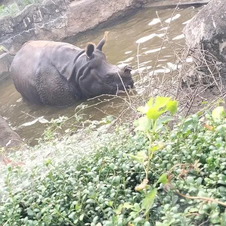私（母親）も子供も初めてでした。こ...