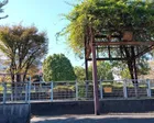 道路沿いにある公園です。奥ではボー...