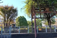 道路沿いにある公園です。奥ではボー...