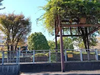 道路沿いにある公園です。奥ではボー...