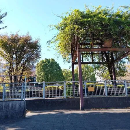 道路沿いにある公園です。奥ではボー...