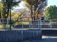 道路沿いにある公園です。奥ではボー...