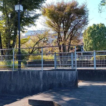 道路沿いにある公園です。奥ではボー...