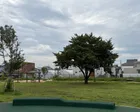 年齢別の遊具があり、桜の木がある原...