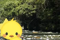 BBQスペースは川のすぐそばにあり...