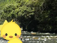 BBQスペースは川のすぐそばにあり...