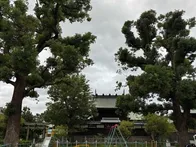 高浜神社の裏にある公園です。
