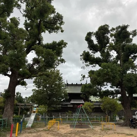 高浜神社の裏にある公園です。