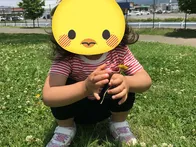 広々とした公園で芝生、砂場、遊具が...