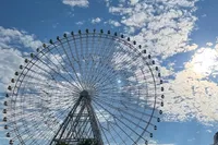 子どもたちが乗りたいと希望したので...