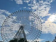 子どもたちが乗りたいと希望したので...