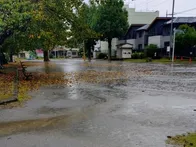 広々とした公園で、敷地の大半は広場...