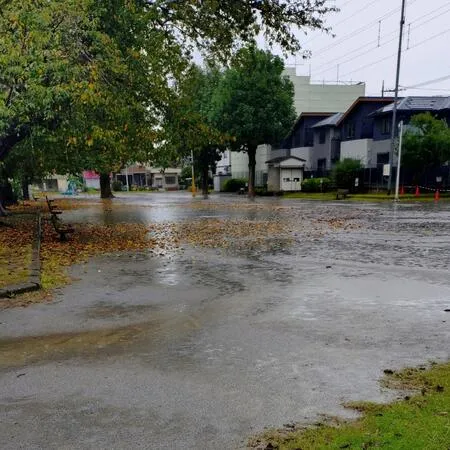 広々とした公園で、敷地の大半は広場...