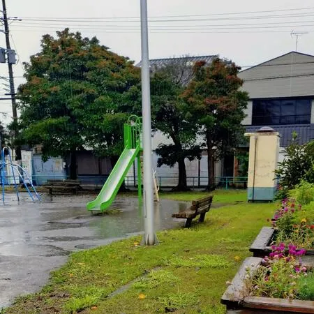 広々とした公園で、敷地の大半は広場...