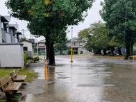 広々とした公園で、敷地の大半は広場...