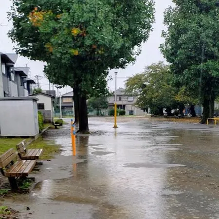 広々とした公園で、敷地の大半は広場...