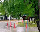 広々とした公園で、敷地の大半は広場...