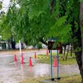 広々とした公園で、敷地の大半は広場...