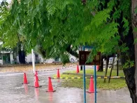 広々とした公園で、敷地の大半は広場...