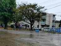 広々とした公園で、敷地の大半は広場...