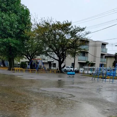 広々とした公園で、敷地の大半は広場...